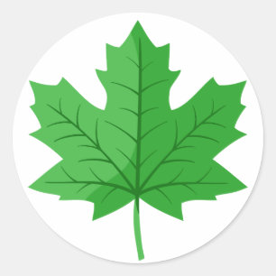 Grüne Ahornleaf Runder Aufkleber