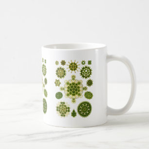 Grüne Algen Kaffeetasse