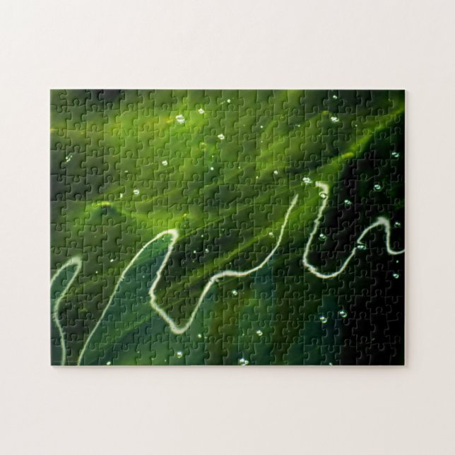 Grüne Algen und Wasser 11x14 252pc jpcn (Horizontal)