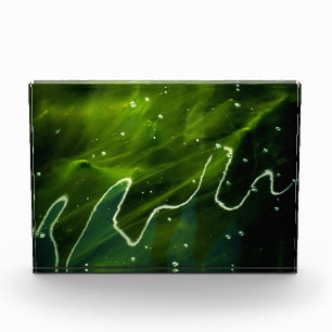 Grüne Algen und Wasser Fotoblock