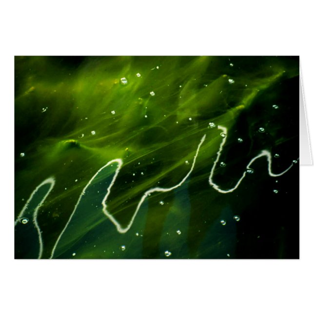 Grüne Algen und Wasser Gccna (Vorderseite (Horizontal))