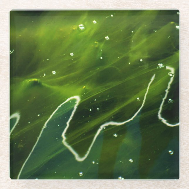 Grüne Algen- und Wasserküste Glasuntersetzer (Vorderseite)