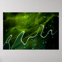 Grüne Algen und Wasserwapcn