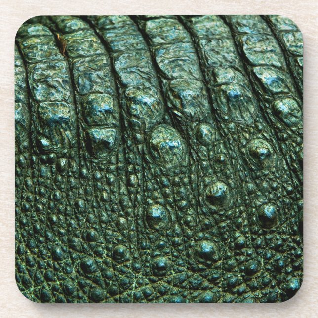Grüne Alligator-Skin-Textur Getränkeuntersetzer (Vorderseite)
