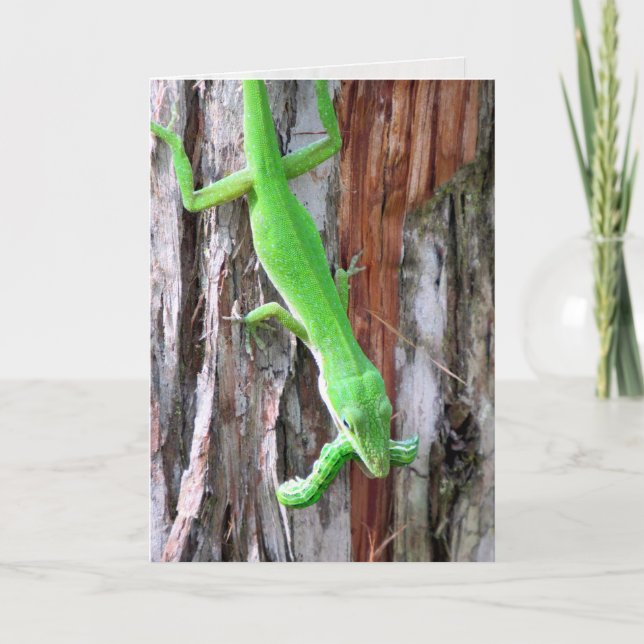 Grüne Anole (Lizard) Grußkarte Karte (Vorderseite)