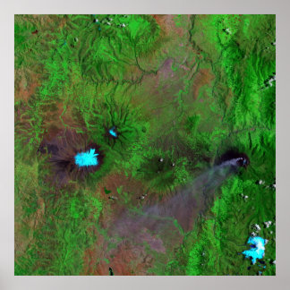 Grüne Ansicht Poster