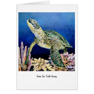 Grüne anstarrende Meeresschildkröte