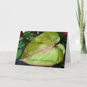 Grüne Anthurium Herzkrankheit Blume tiefste Sympat Karte