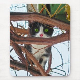 Grüne Augen Mousepad