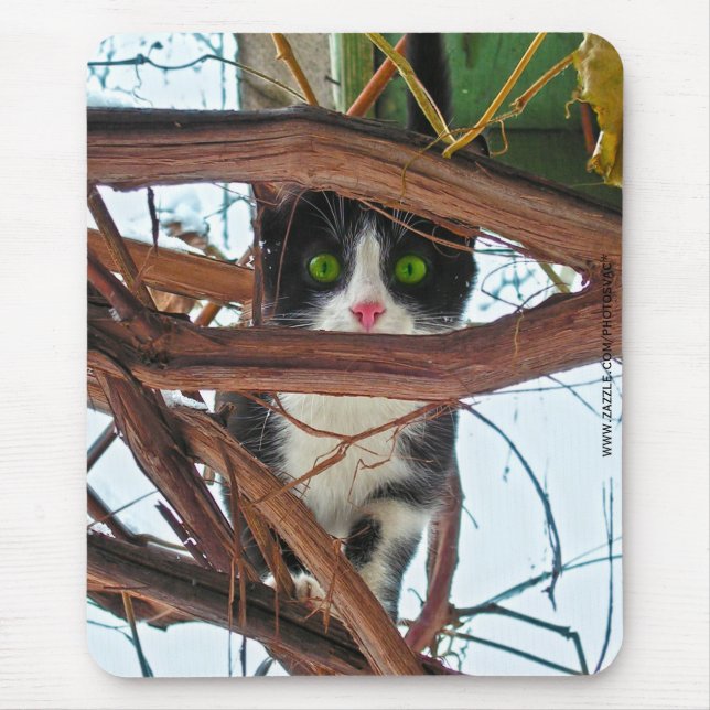 Grüne Augen Mousepad (Vorne)