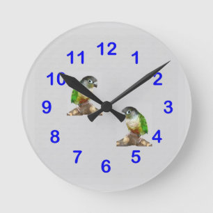 Grüne Backe Conure Wanduhr