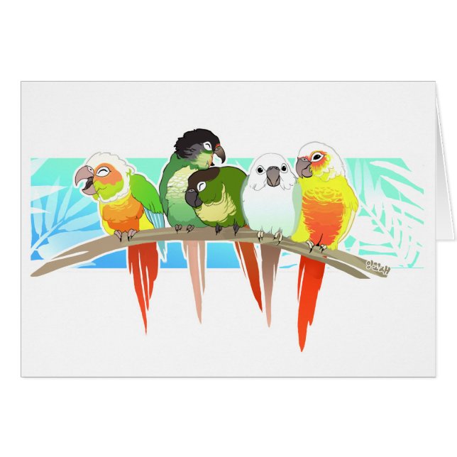 Grüne Backe Conures (Vorderseite (Horizontal))