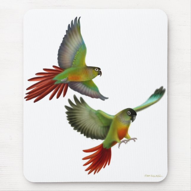 Grüne Backe Conures Mousepad (Vorne)