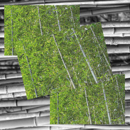 Grüne Bambusbaumen wachsen naturfotografisch Seidenpapier