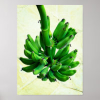 Grüne Bananen