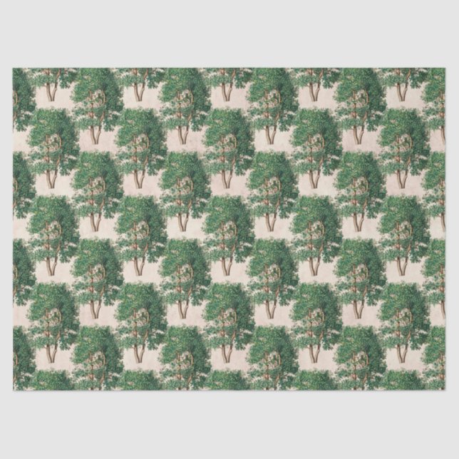 Grüne Bäume Dekoupage Seidenpapier (Vorderseite)
