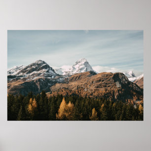 GRÜNE BÄUME IN DER NÄHE DES SCHNEES ÜBERDECKTEN BE POSTER