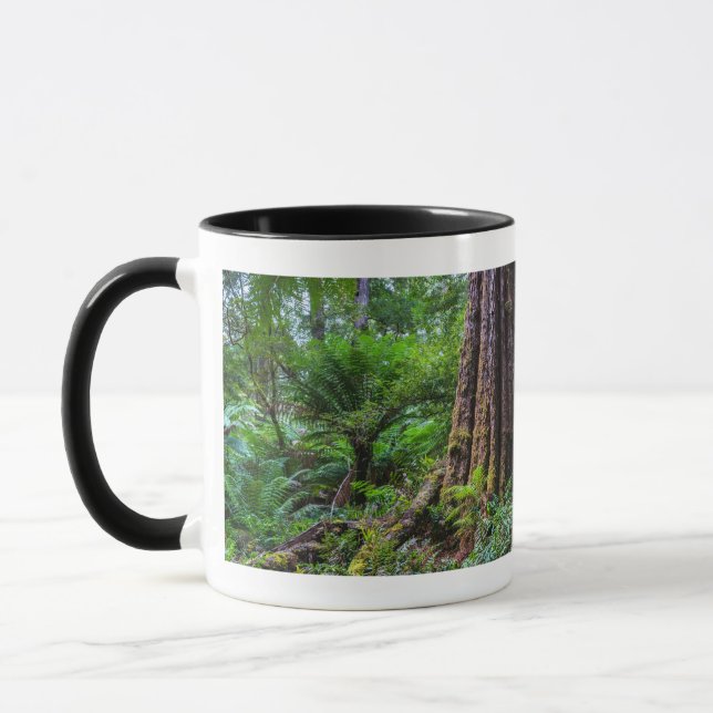 Grüne Bäume in Great Otway Regenwald Australien Tasse (Links)