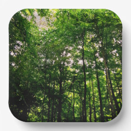 Grüne Bäume Pappteller