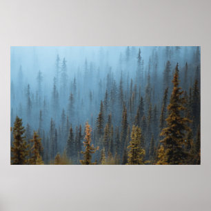 GRÜNE BÄUME WÄHREND DES TAGES POSTER