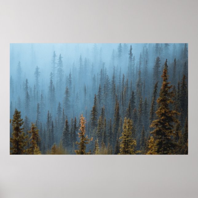 GRÜNE BÄUME WÄHREND DES TAGES POSTER (Vorne)