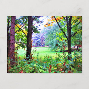 Grüne Baumlandschaft Natur Nebelwiese Postkarte