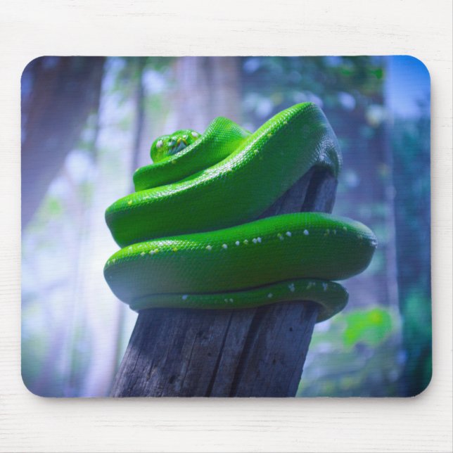Grüne Baumpython (A) Mousepad (Vorne)