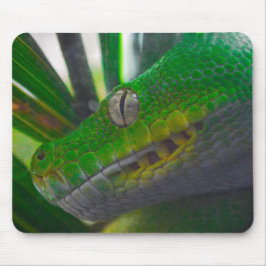Grüne Baumpython (B) Mousepad