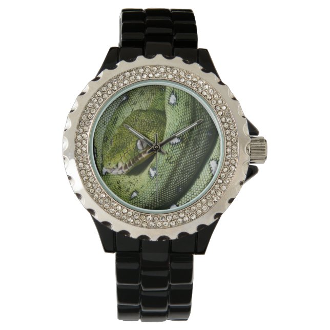 Grüne Baumschlange Smaragdboa in Bolivien Armbanduhr (Vorderseite)