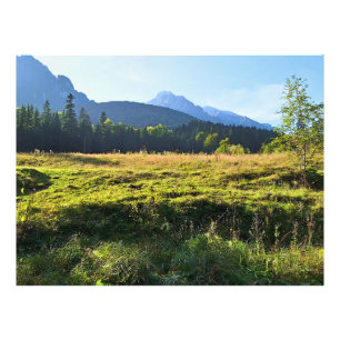Grüne Bergwiese – Wilde Natur Rumänien Fotodruck