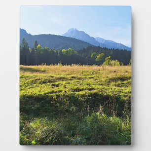 Grüne Bergwiese – Wilde Natur Rumänien Fotoplatte