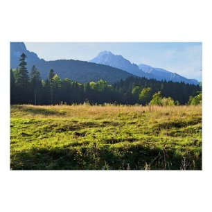 Grüne Bergwiese – Wilde Natur Rumänien Poster
