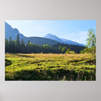 Grüne Bergwiese – Wilde Natur Rumänien Poster
