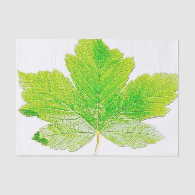 Grüne Blatt-Natur Seidenpapier (Vorderseite)