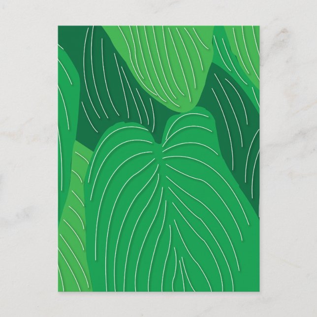 Grüne Blätter Botanik Postkarte (Vorderseite)