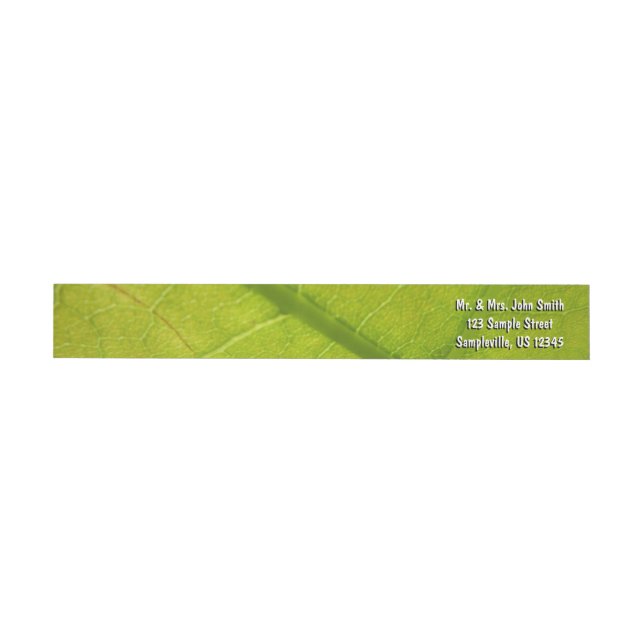 Grüne Blätter Botanische Naturfotografie (Person)