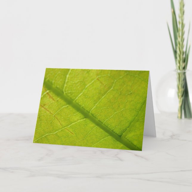 Grüne Blätter Botanische Naturfotografie Karte (Vorderseite)