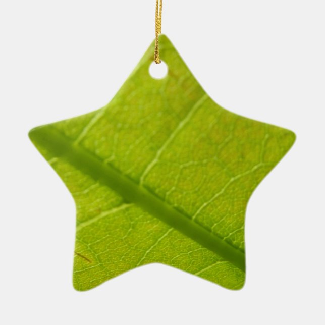 Grüne Blätter Botanische Naturfotografie Keramikornament (Vorne)