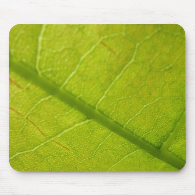 Grüne Blätter Botanische Naturfotografie Mousepad (Vorne)
