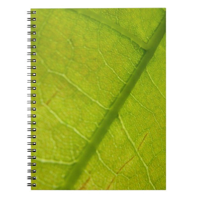 Grüne Blätter Botanische Naturfotografie Notizblock (Vorderseite)