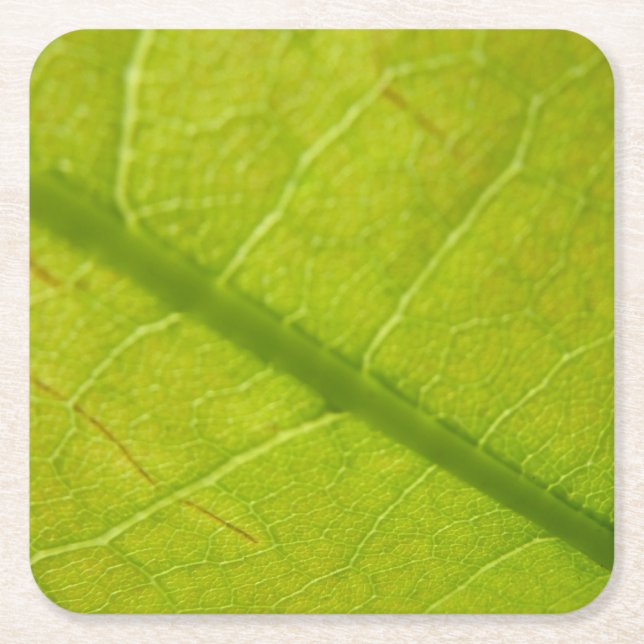 Grüne Blätter Botanische Naturfotografie Rechteckiger Pappuntersetzer (Vorderseite)