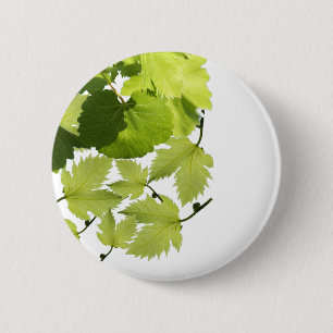 Grüne Blätter für Weintrauben Button