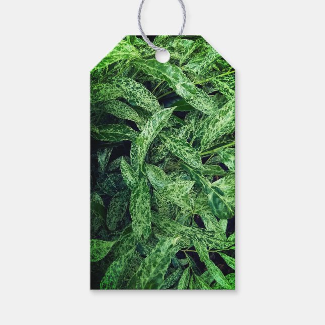 Grüne Blätter Geschenkanhänger (Vorderseite)