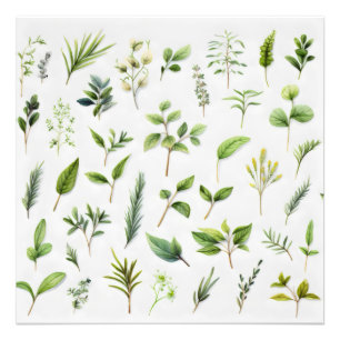 Grüne Blätter Herbarium Fotodruck