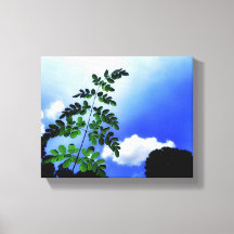 Grüne Blätter, Himmel und Wolkenhintergrund