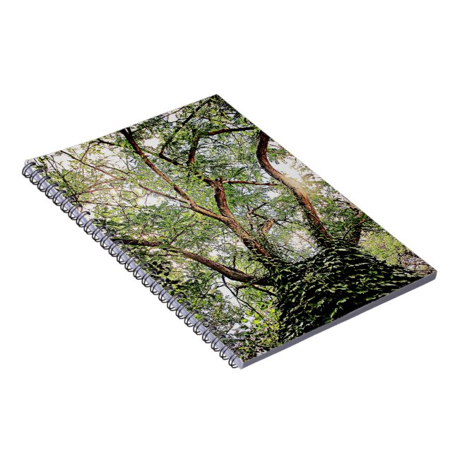 grüne Blätter Notizblock (Rechte Seite)