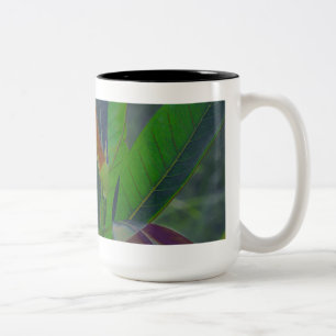 Grüne Blätter schließen Zweifarbige Tasse