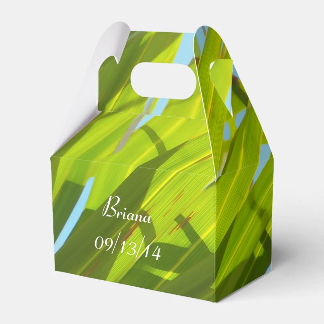 Grüne Blätter, Sonnenlicht und blauer Himmel Geschenkschachtel (Vorderseite)