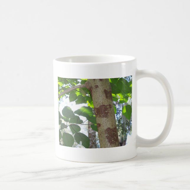 grüne Blätter und Baumstamm mit cooler Rinde Kaffeetasse (Rechts)