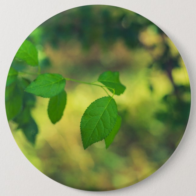Grüne Blätter und gelber Schnabel Button (Vorderseite)